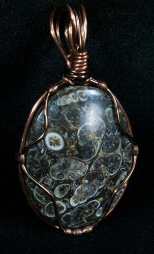 Copper Wire Wrapped Turritella Pendant #5955